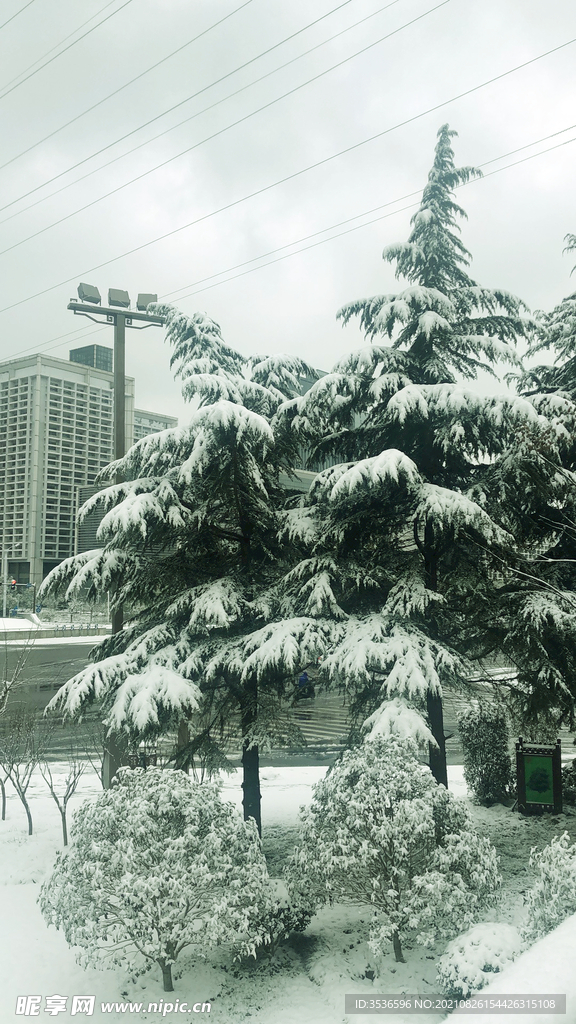 城市雪景