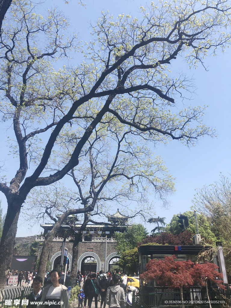 早春美景