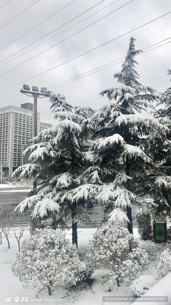 城市雪景