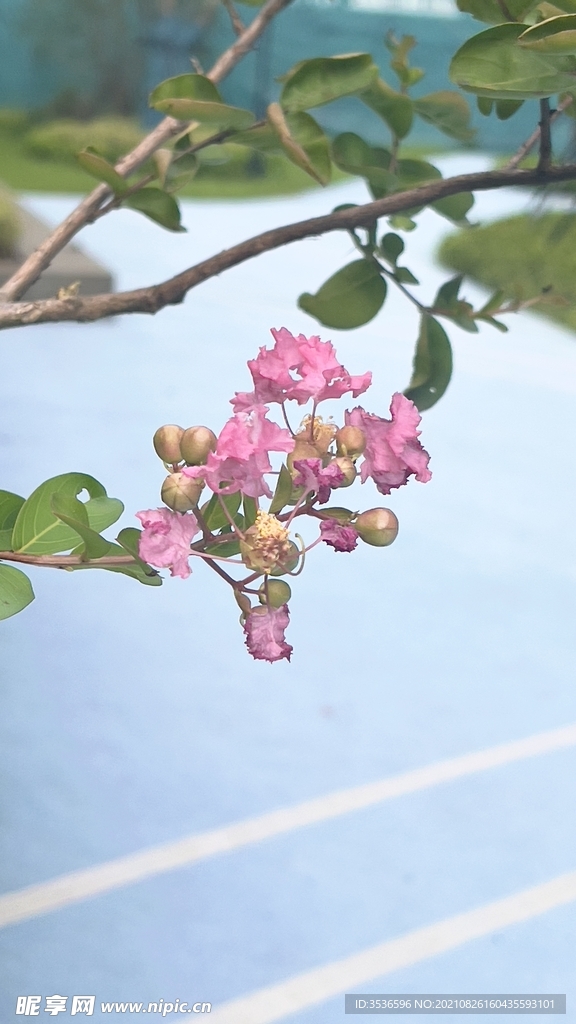 自然景观