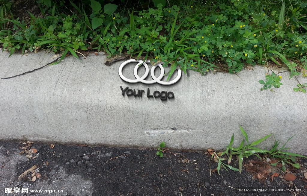 logo样机