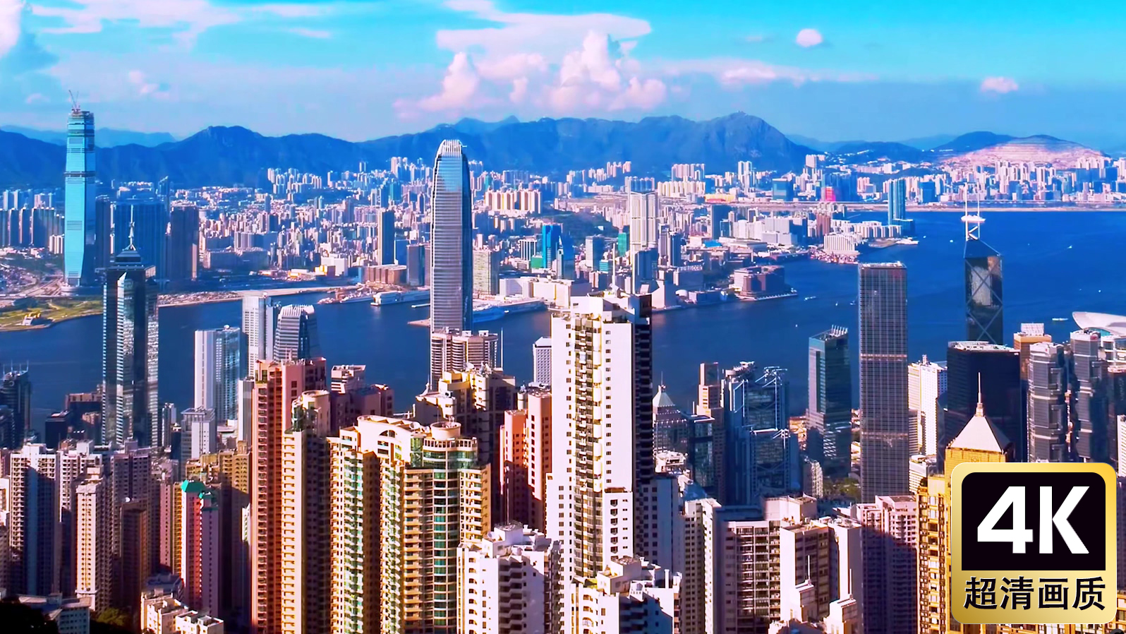 航拍海边城市建筑群