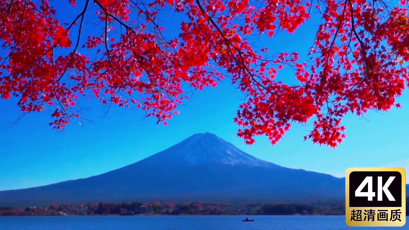 枫树叶下的大山风景