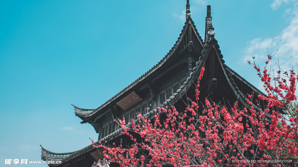 桃花