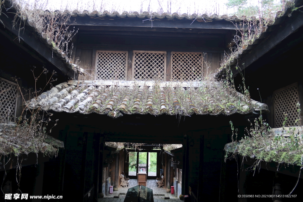 茶屋 老屋 青苔