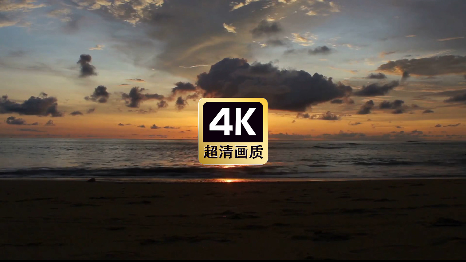 自媒体素材晚霞飞鸟海滩