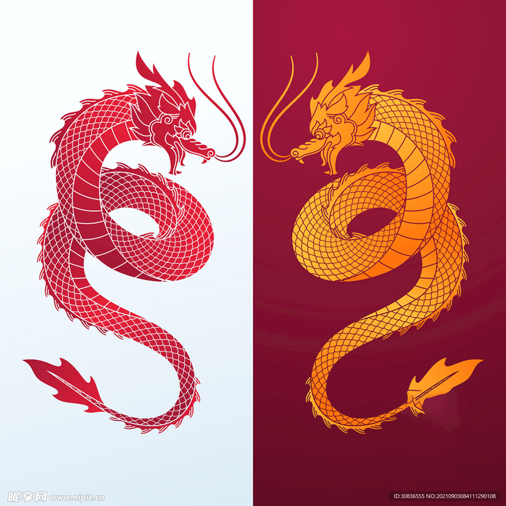 龙 
