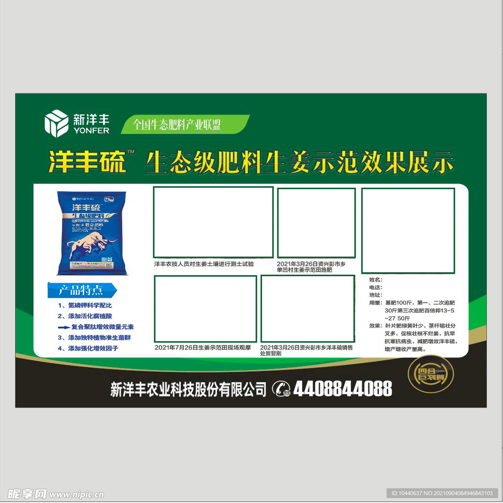 生态级肥料生姜示范效果展示