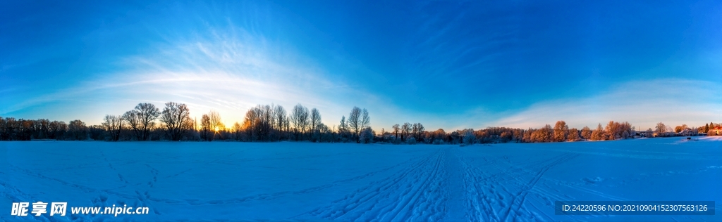 冬日雪景