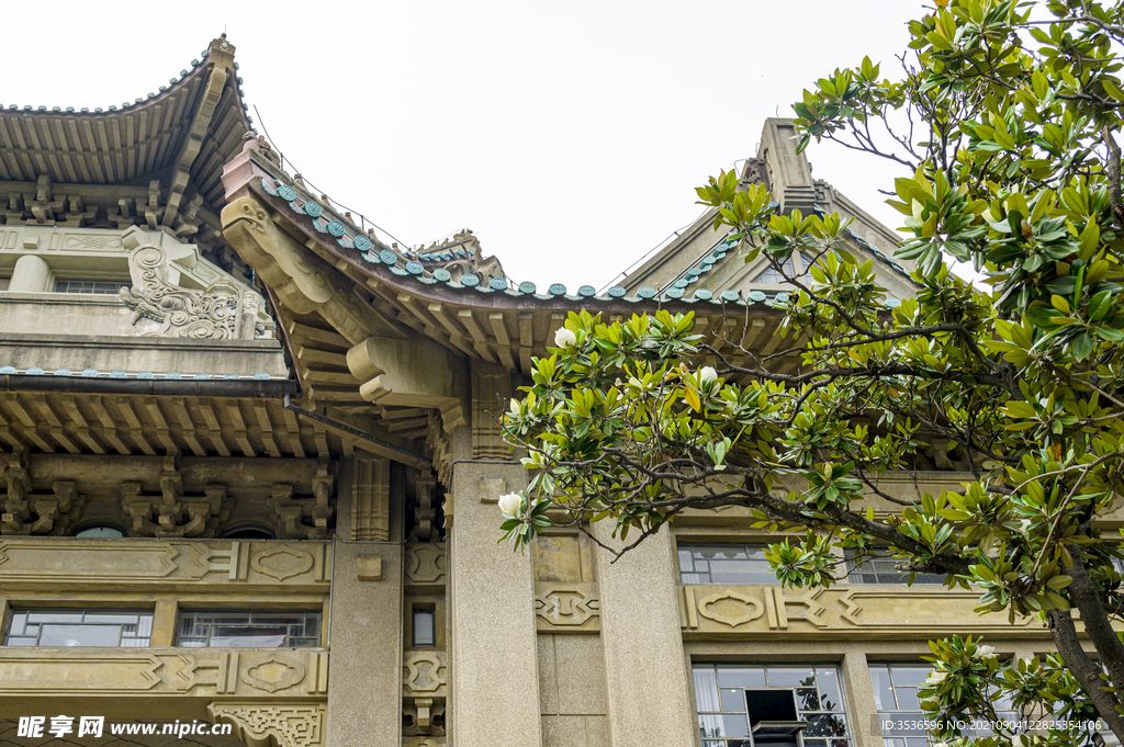 武汉大学 