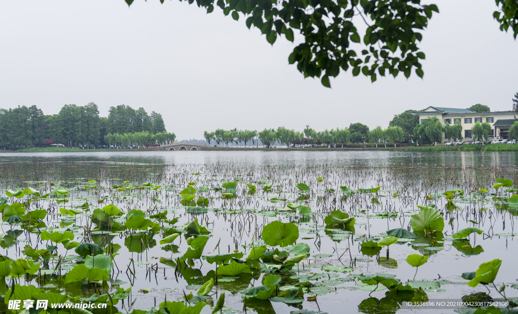 湖北武汉东湖 