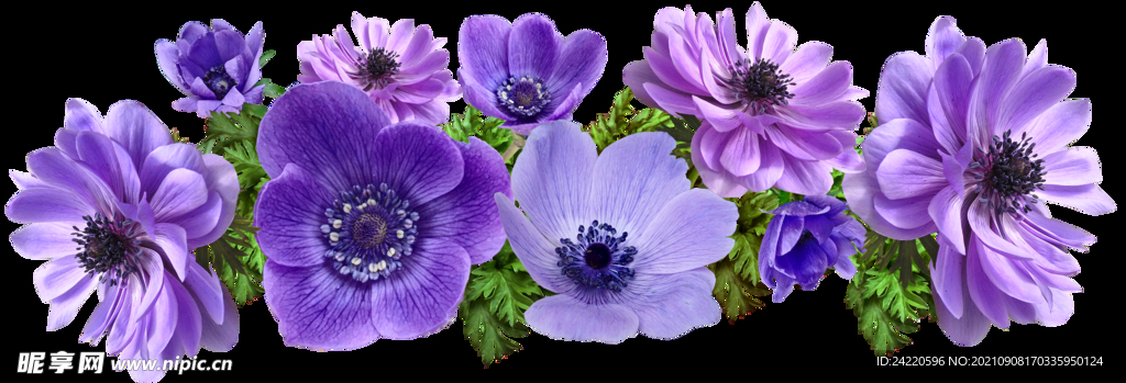 鲜花