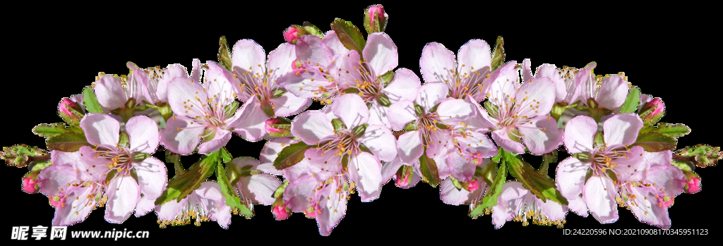 鲜花