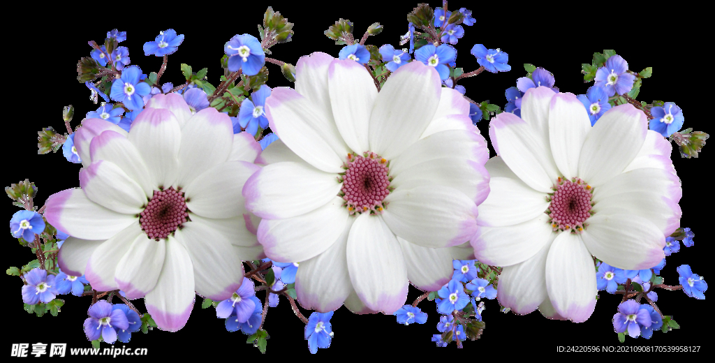 鲜花