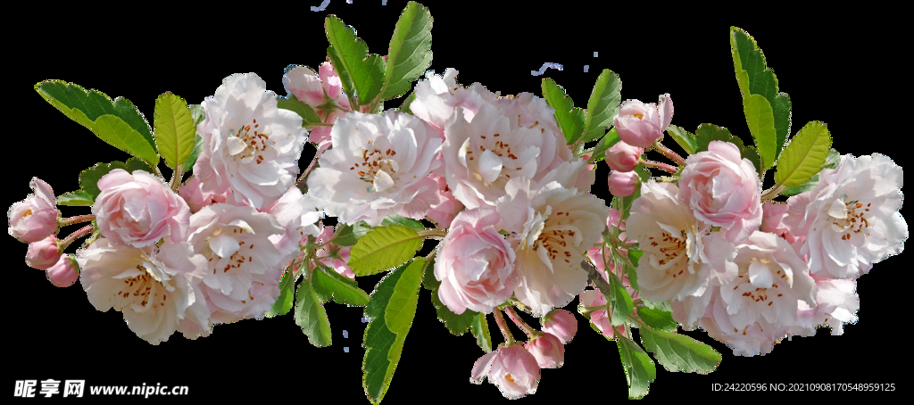 鲜花