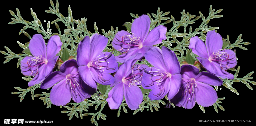 鲜花