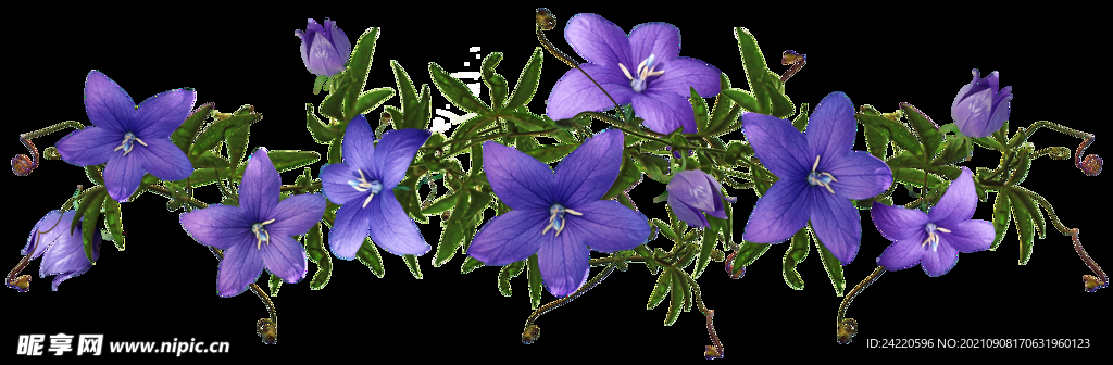 鲜花