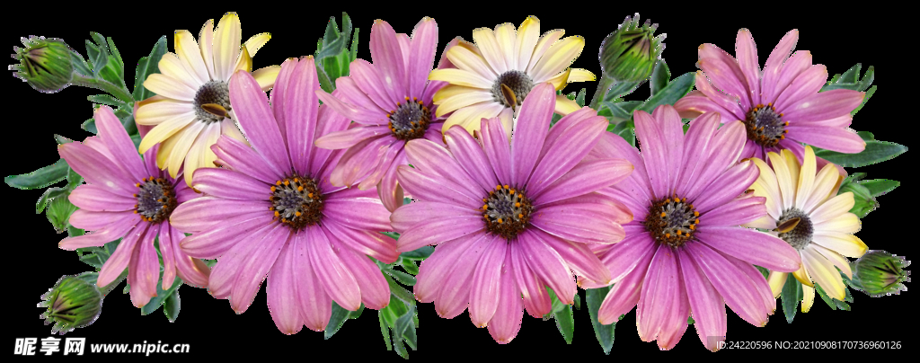 鲜花