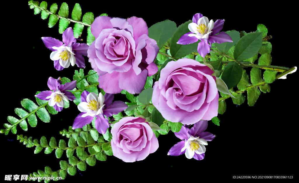 玫瑰花