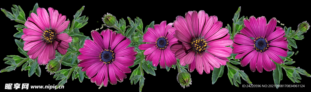 鲜花