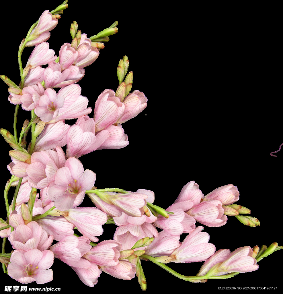 鲜花
