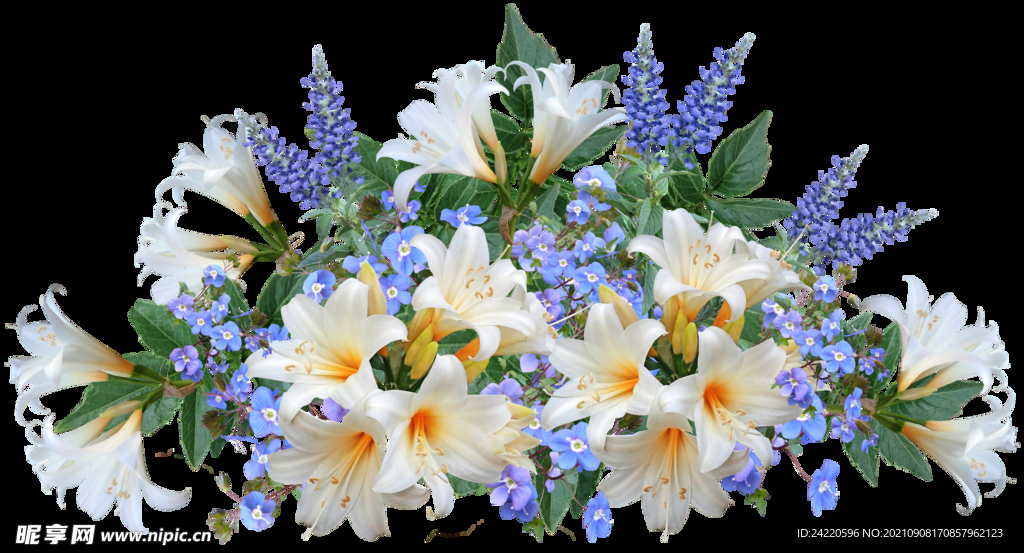 鲜花