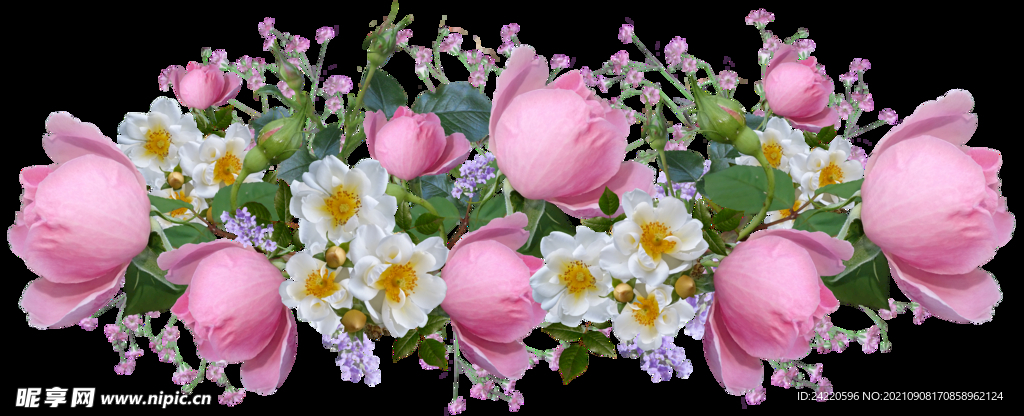 玫瑰花