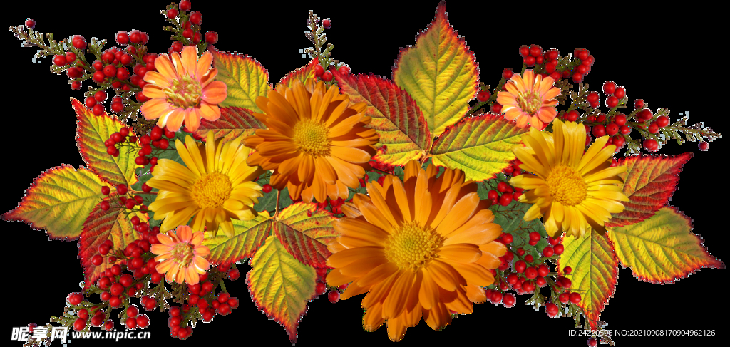 鲜花