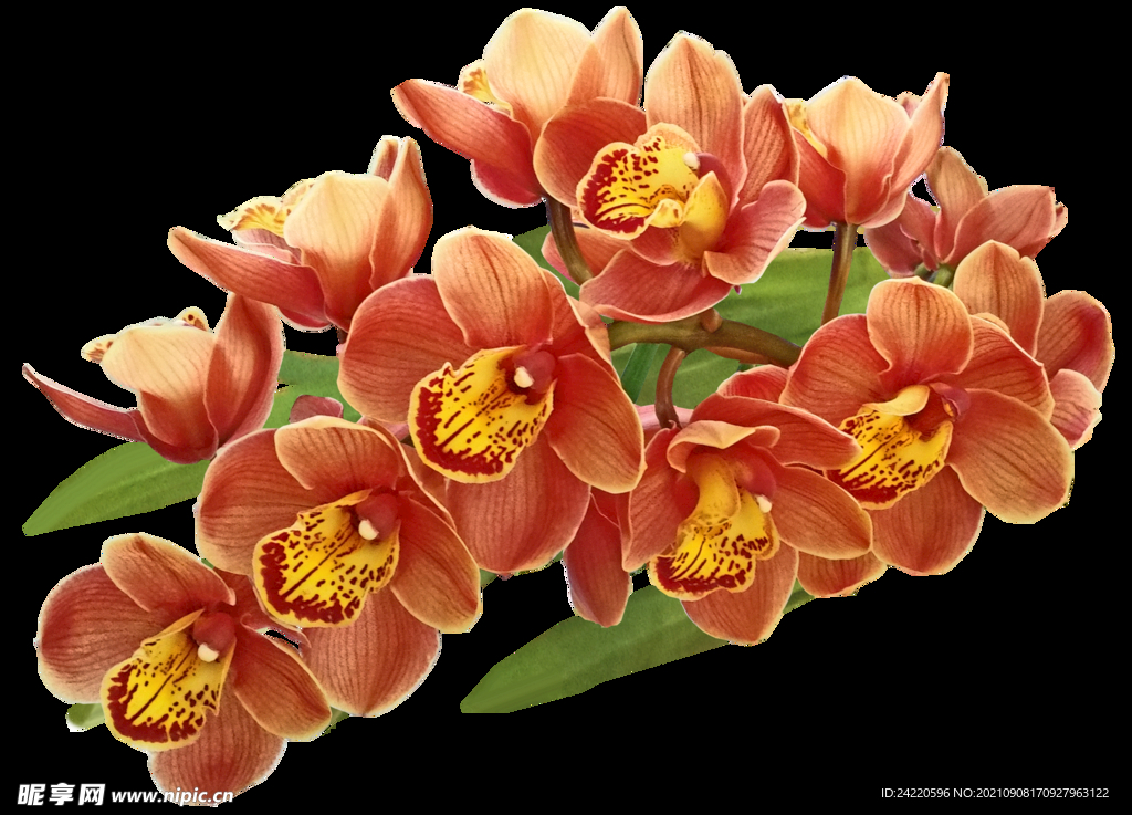 鲜花