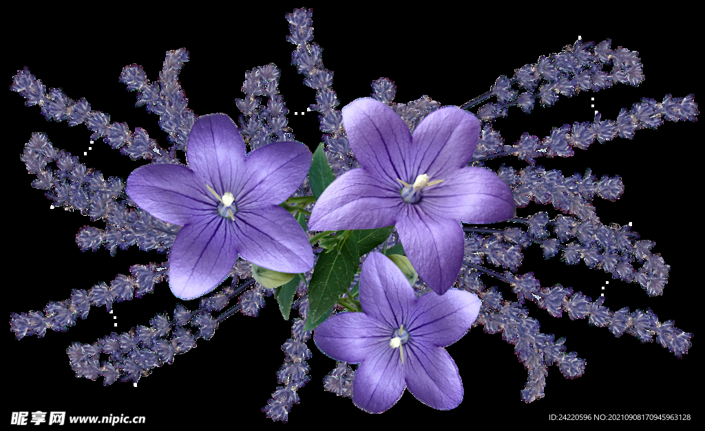 鲜花