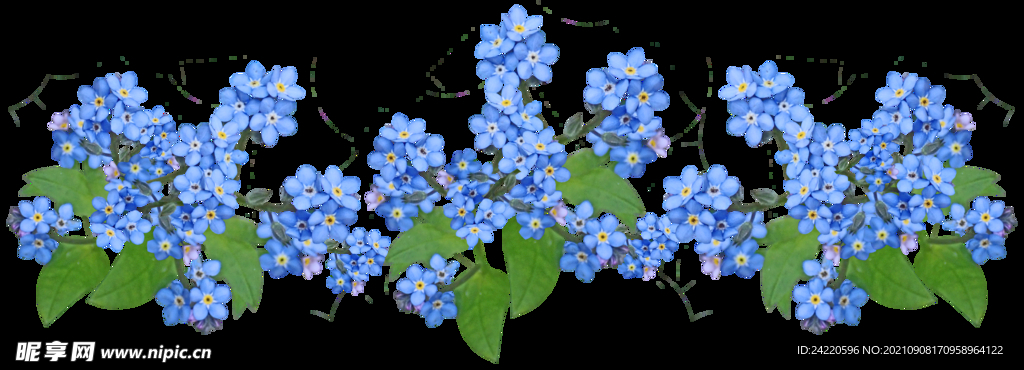鲜花