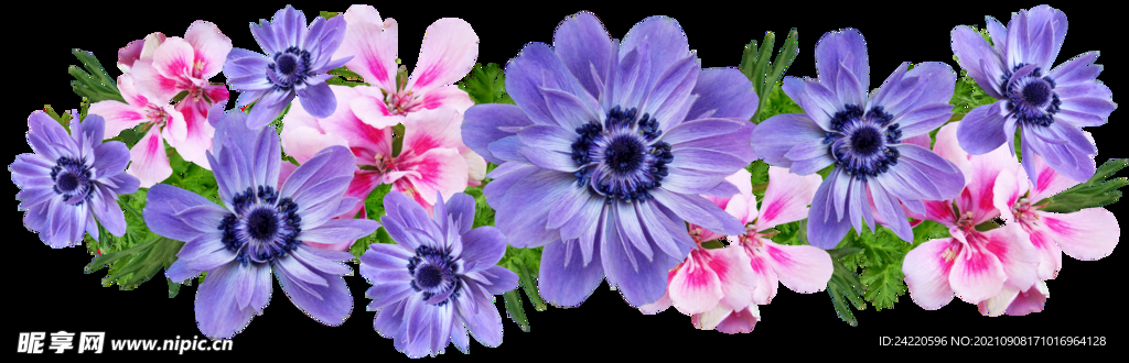 鲜花