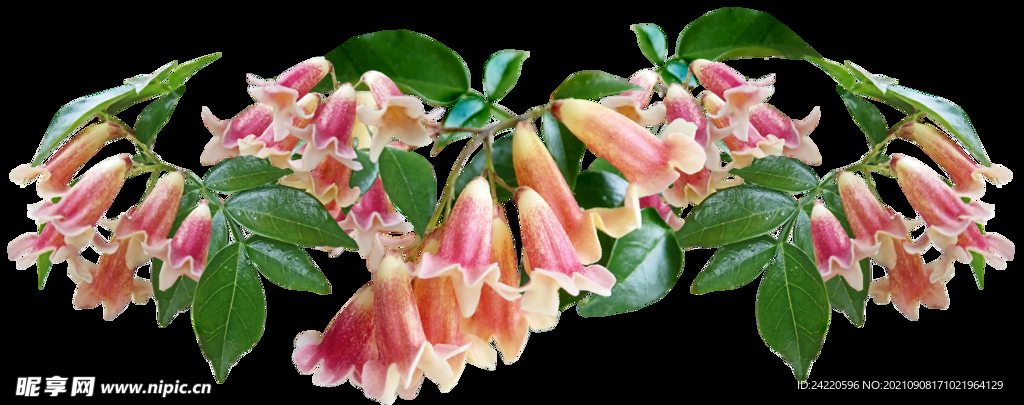 鲜花
