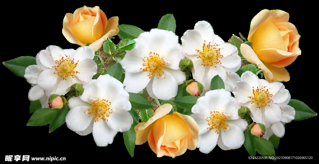 鲜花