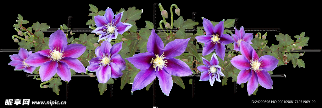 鲜花