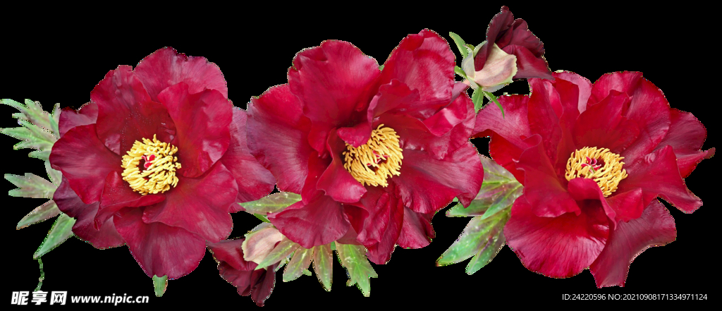 鲜花