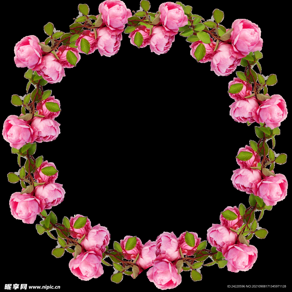 玫瑰花
