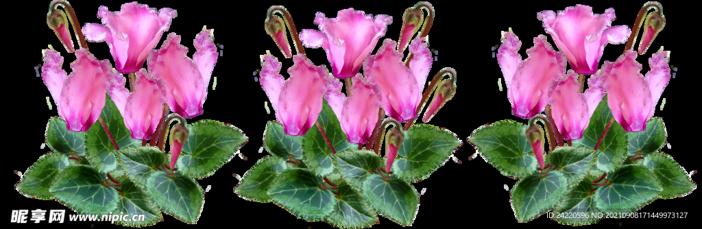 鲜花