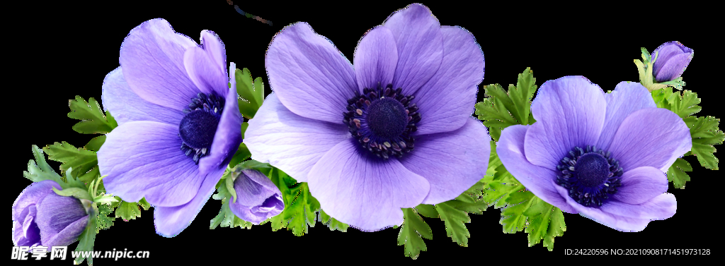 鲜花