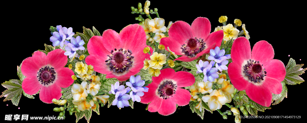 鲜花