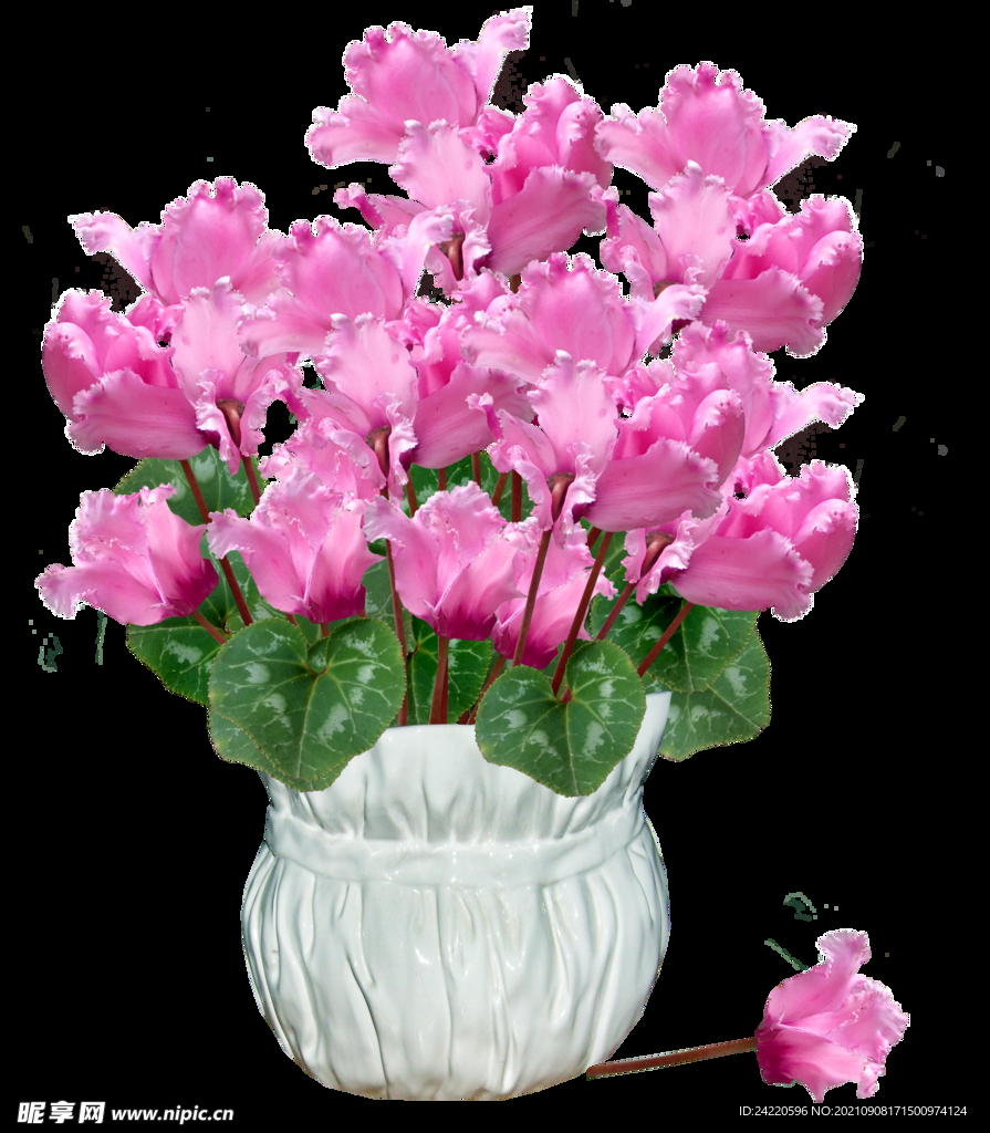 鲜花