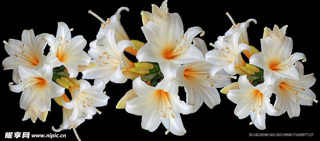 鲜花