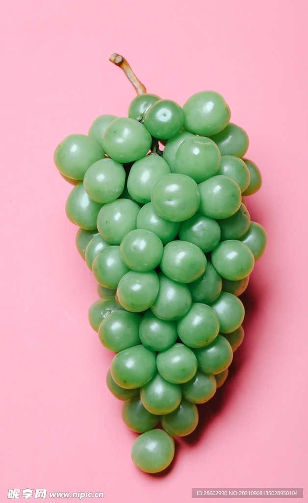 青葡萄高清摄影