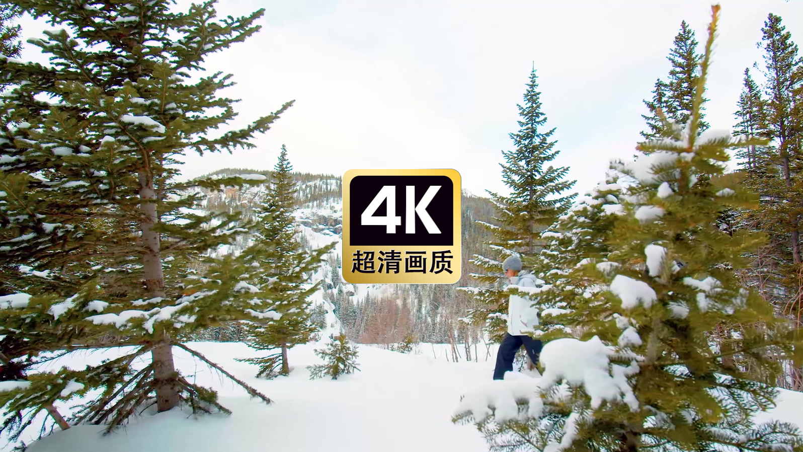 雪林散步的情侣