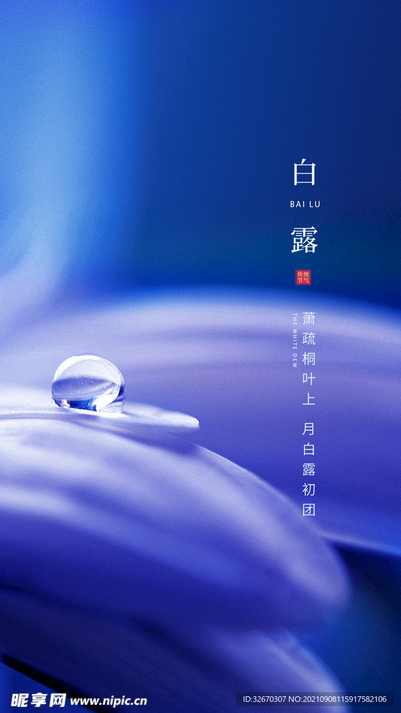 中国风简约白露海报设计