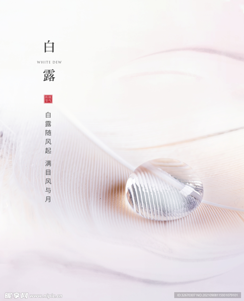 中国风简约清新白露海报