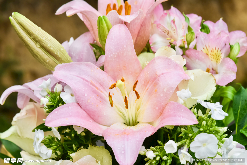 鲜花