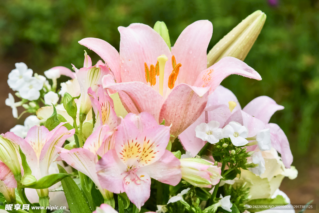 鲜花