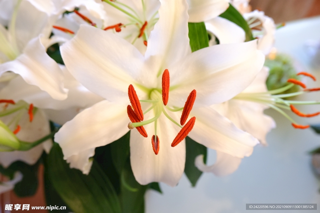 鲜花
