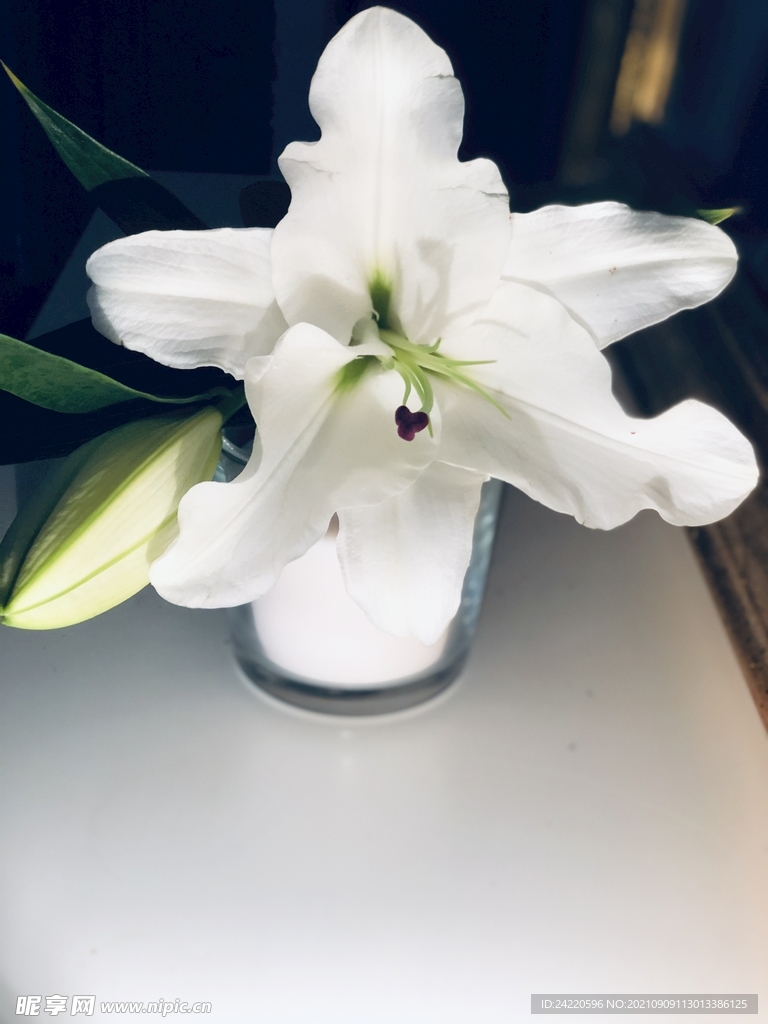 鲜花